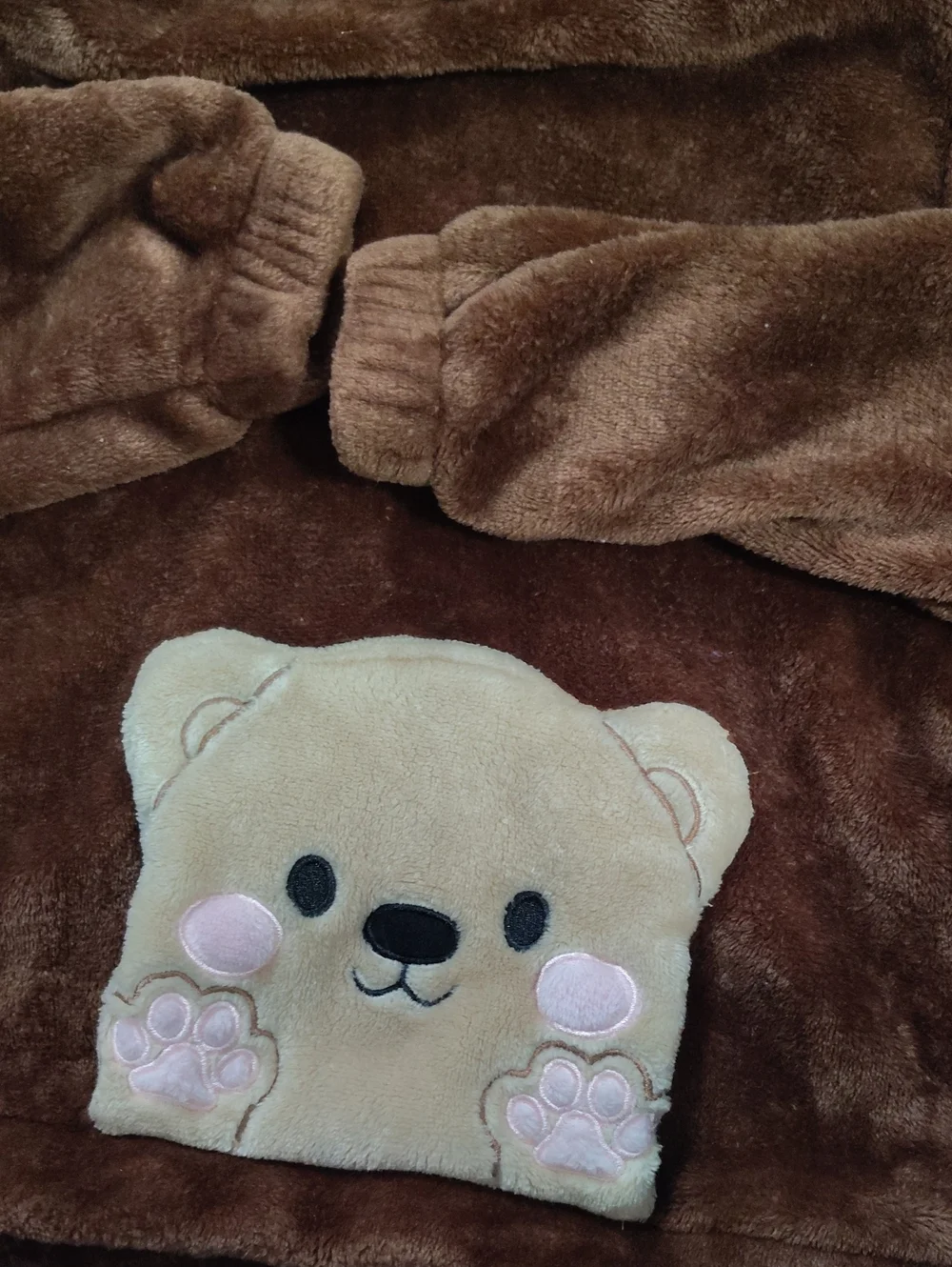 Bear Hoodie Size 6 $25